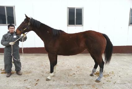 ��Ƽ������ ����