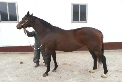 �����÷����� ����