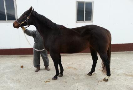 �ο��귿 ����