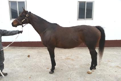 ����Ƽ��Ÿ ����