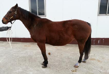 �ϵ������Ͻ� ����