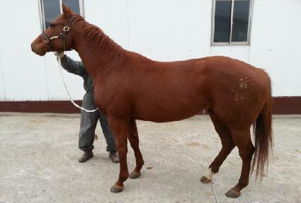 ������Ʈ����Ʈ ����