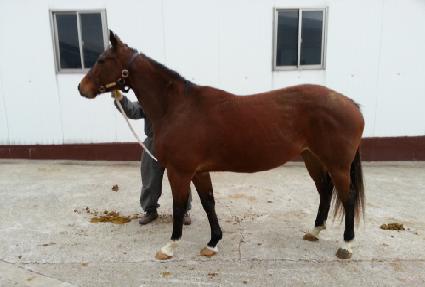 Ŭ���������� ����