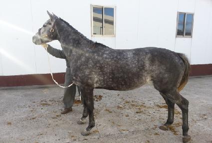 �η��극�� ����