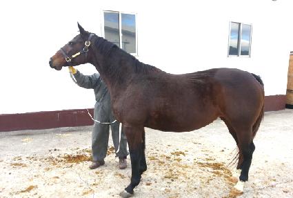 ����պ��� ����