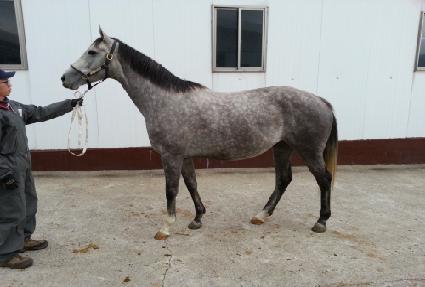 ��Ƽ���Ʈ�� ����