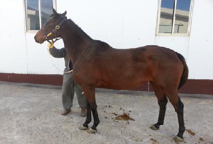 ���𿣵����� ����