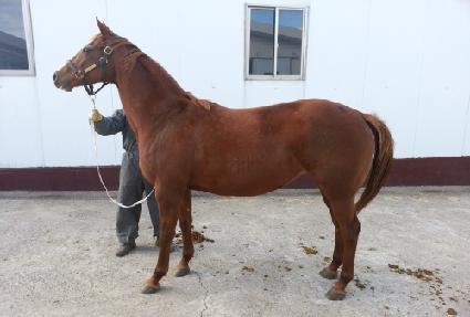 ĳ�������� ����