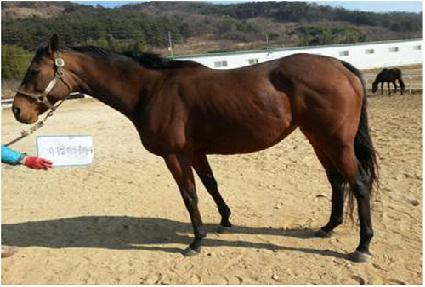 �⸮�������ö��� ����