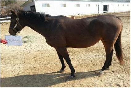 �̽����̾� ����