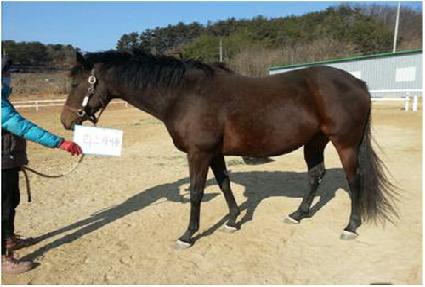 ����Ų�տ� ����