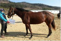 �����۶��鸮 (WHISPER LOUDLY) ����