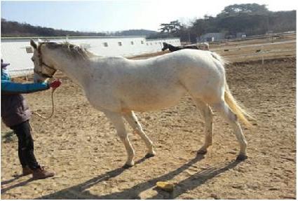 �ƻ�Ƽ ����