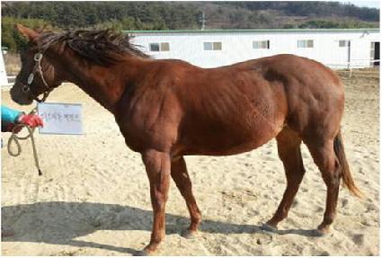 ����Ƽ��ĳ���� ����