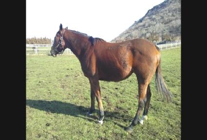 ����Ʈ�޾��Ʈ ����