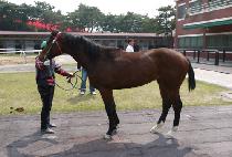 �ູ�ǳ��� (HAENGBOGUI NARA) ����