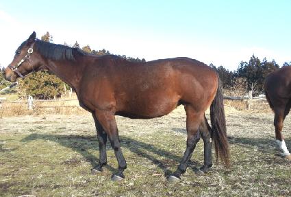 �̽�ű ����