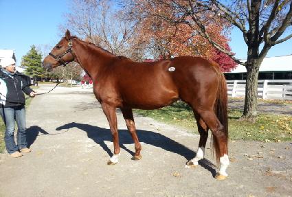 �������ݵ� ����