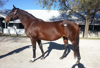 �κ���� ����