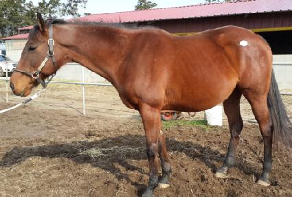 �ο�ġ�� ����