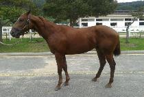 ��·��� (USEUNG RUSH) ����