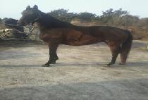 STORMY TUESDAY picture