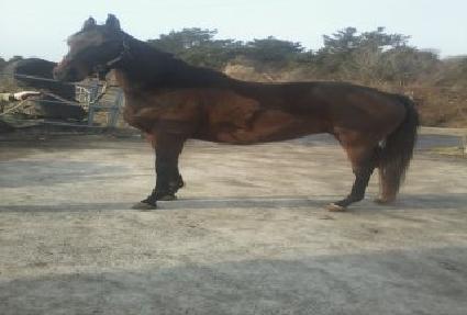 �����Ʃ������ ����