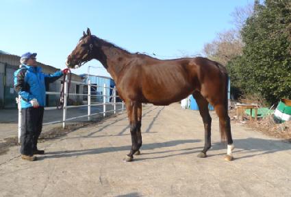 �ӽ�Ǯ ����