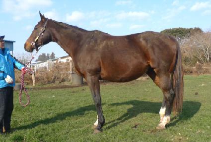 �ǹ���Ʈ���� ����