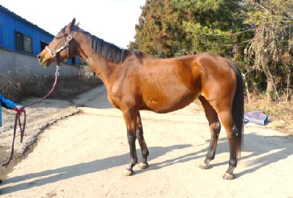 ������ ����