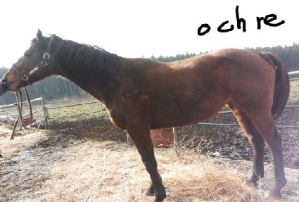 ����Ŀ ����