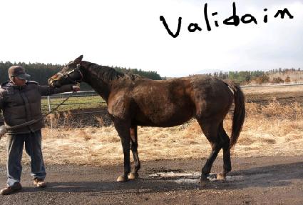 �뷯���� ����