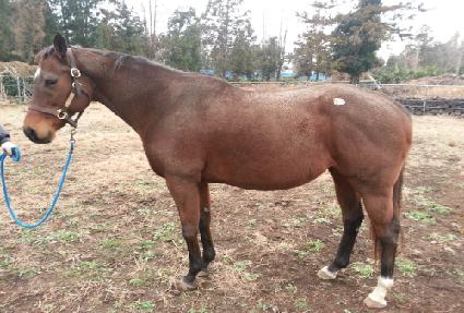 ����ŷ��Ʈ ����