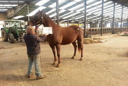 ���̿� ����