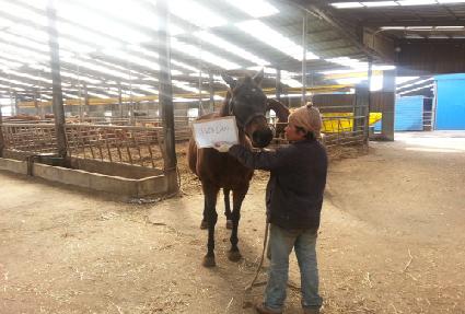 ������ ����