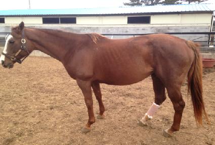 �����ξ��̽� ����