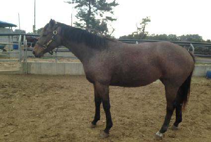 ���͸��� ����