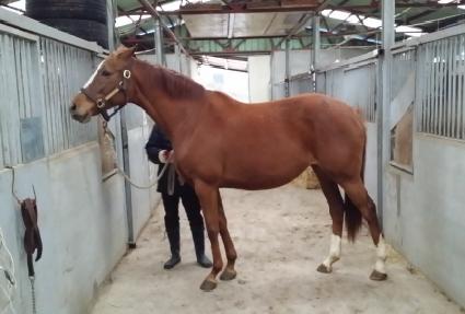 °��� ����