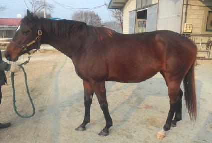 ��ī�̶�� ����