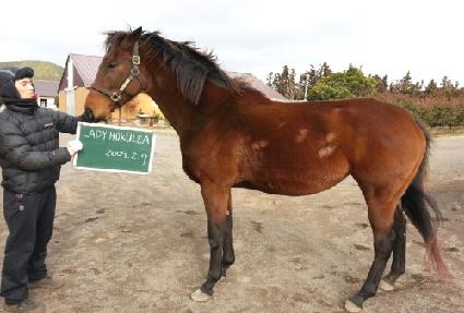 ���̵�ȣ������ ����