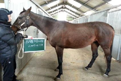 ��ũ���� ����