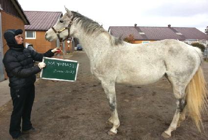 ���̿�Ž�Ʈ ����