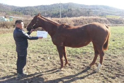 ����ƾ�� ����