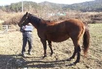 Ÿ�����δ��� (TIME TO INDULGE) ����