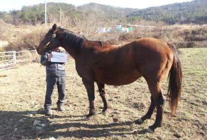 Ÿ�����δ��� ����