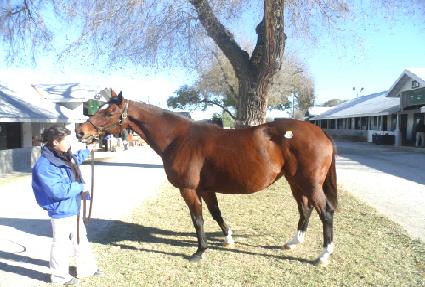 �����Ŀ ����