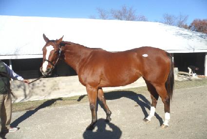 ġ��Ǯ��Ʈ ����