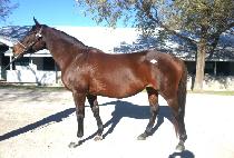 BEST ONE ����