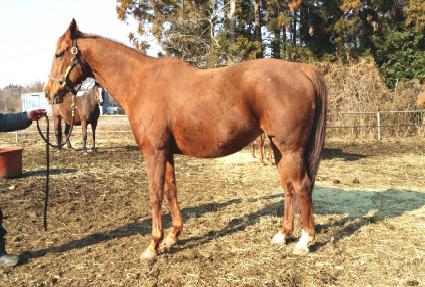 �̽�Ʈ��ư ����