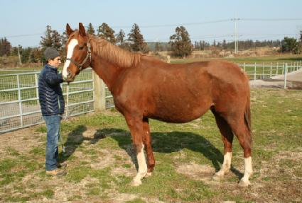 ��Ű�ع� ����